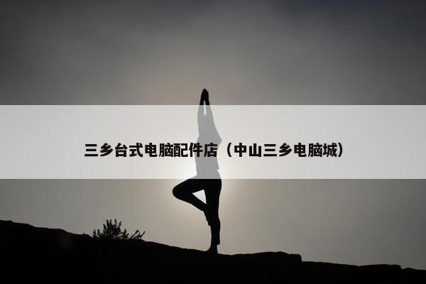 三乡台式电脑配件店（中山三乡电脑城）
