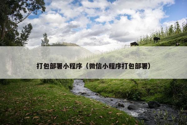 打包部署小程序（微信小程序打包部署）