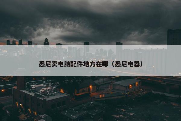 悉尼卖电脑配件地方在哪（悉尼电器）