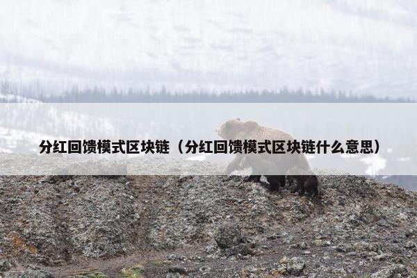 分红回馈模式区块链（分红回馈模式区块链什么意思）