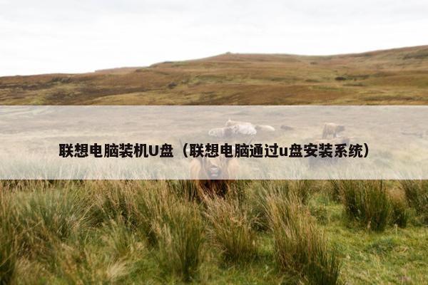联想电脑装机U盘（联想电脑通过u盘安装系统）