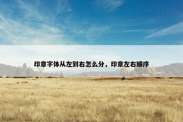 印章字体从左到右怎么分，印章左右顺序