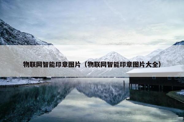 物联网智能印章图片（物联网智能印章图片大全）