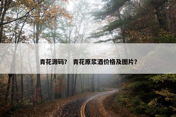 青花源码？ 青花原浆酒价格及图片？