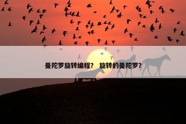 曼陀罗旋转编程？ 旋转的曼陀罗？