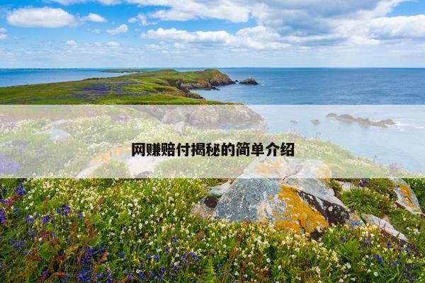 网赚赔付揭秘的简单介绍