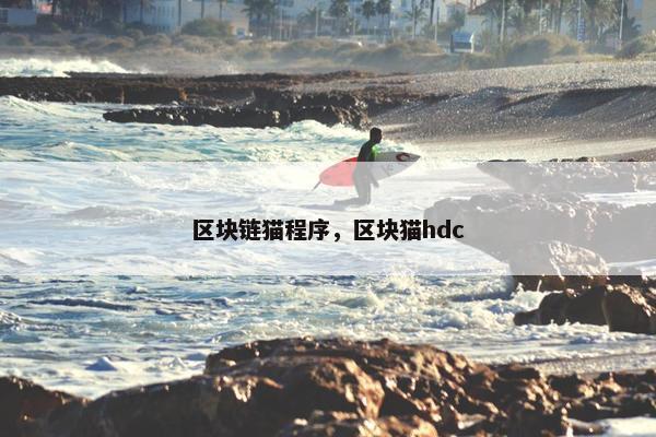 区块链猫程序，区块猫hdc