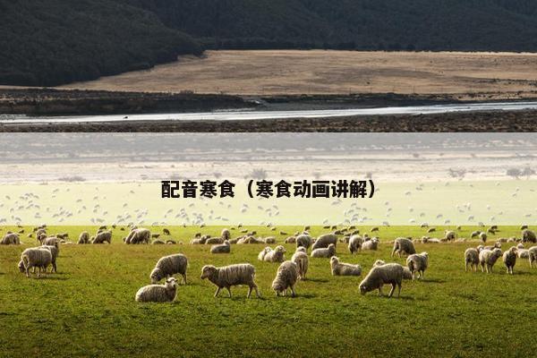 配音寒食（寒食动画讲解）