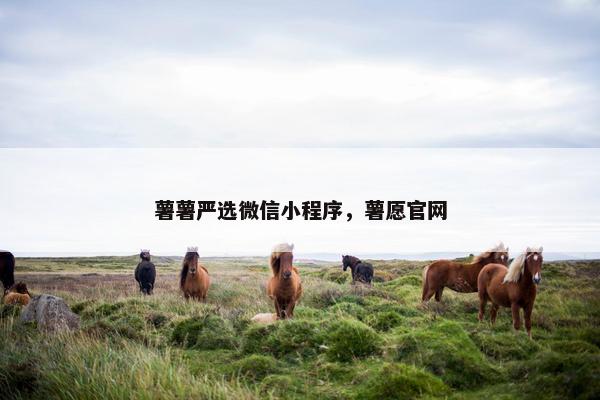 薯薯严选微信小程序，薯愿官网