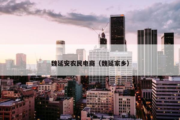 魏延安农民电商（魏延家乡）
