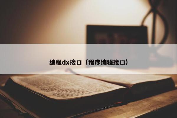 编程dx接口（程序编程接口）