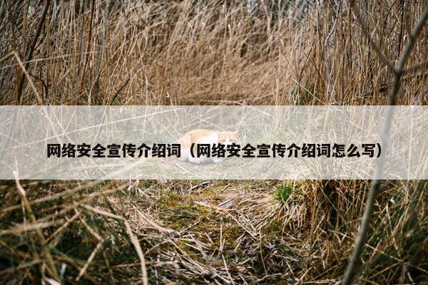 网络安全宣传介绍词（网络安全宣传介绍词怎么写）