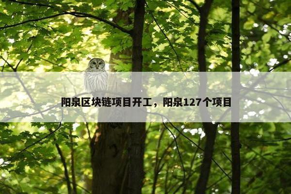 阳泉区块链项目开工，阳泉127个项目