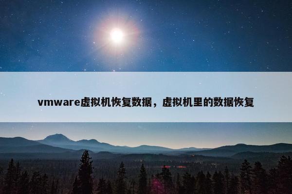 vmware虚拟机恢复数据，虚拟机里的数据恢复