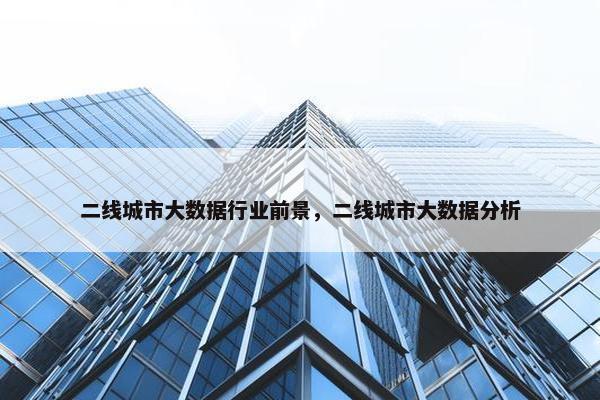 二线城市大数据行业前景，二线城市大数据分析