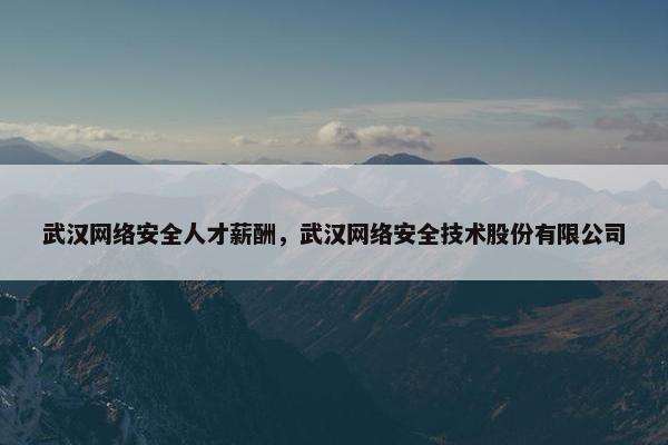 武汉网络安全人才薪酬，武汉网络安全技术股份有限公司