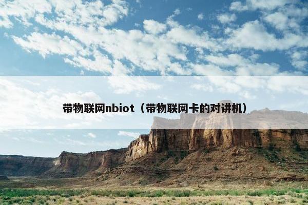 带物联网nbiot（带物联网卡的对讲机）