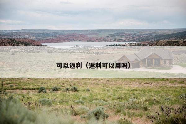 可以返利（返利可以用吗）