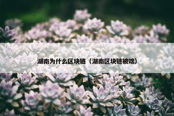 湖南为什么区块链（湖南区块链被端）