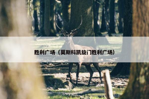 胜利广场（莫斯科凯旋门胜利广场）