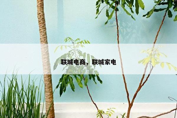 联城电商，联城家电