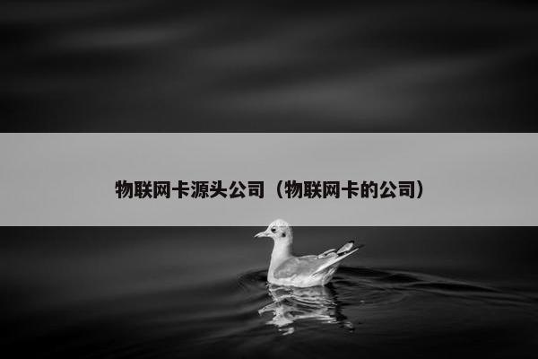 物联网卡源头公司（物联网卡的公司）
