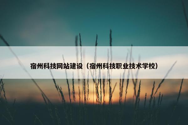 宿州科技网站建设（宿州科技职业技术学校）