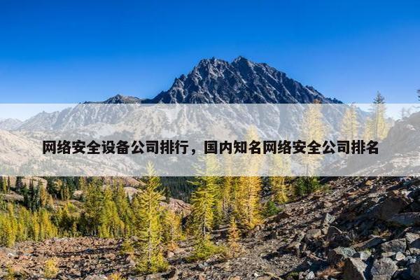 网络安全设备公司排行，国内知名网络安全公司排名