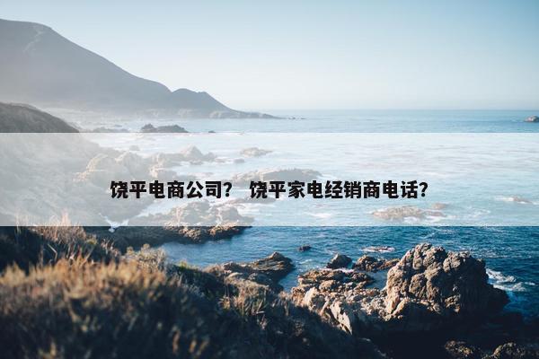 饶平电商公司？ 饶平家电经销商电话？