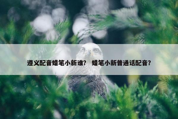 遵义配音蜡笔小新谁？ 蜡笔小新普通话配音？