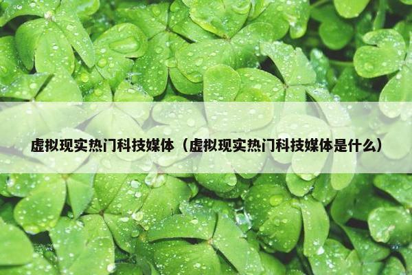 虚拟现实热门科技媒体（虚拟现实热门科技媒体是什么）
