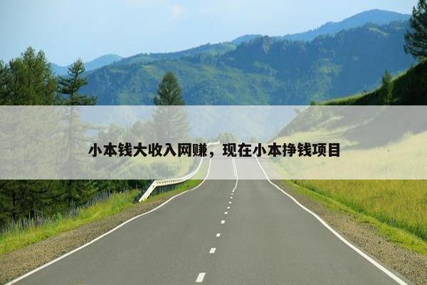 小本钱大收入网赚，现在小本挣钱项目