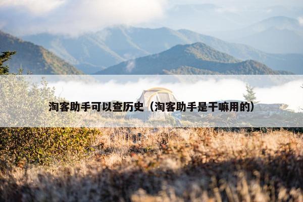 淘客助手可以查历史（淘客助手是干嘛用的）