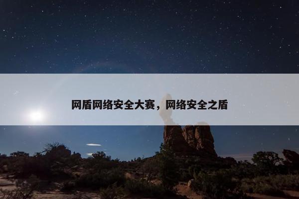 网盾网络安全大赛，网络安全之盾