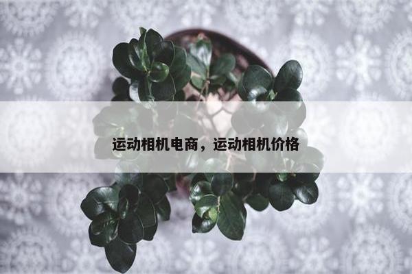 运动相机电商，运动相机价格