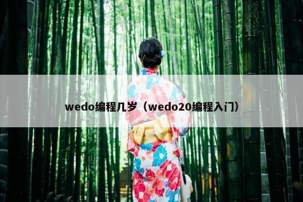 wedo编程几岁（wedo20编程入门）