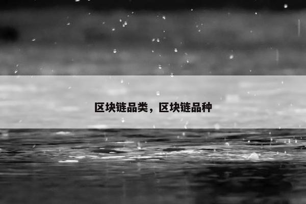 区块链品类，区块链品种