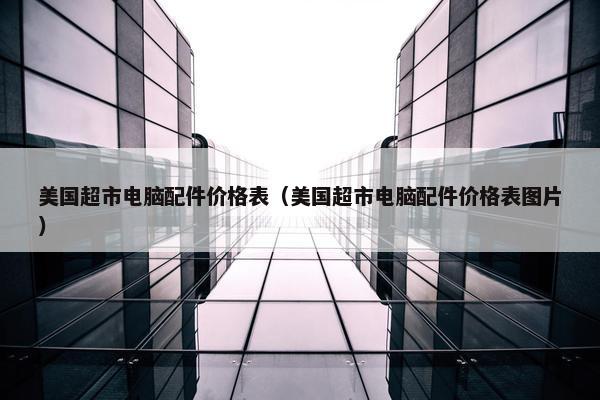 美国超市电脑配件价格表（美国超市电脑配件价格表图片）