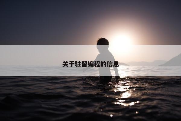 关于驻留编程的信息