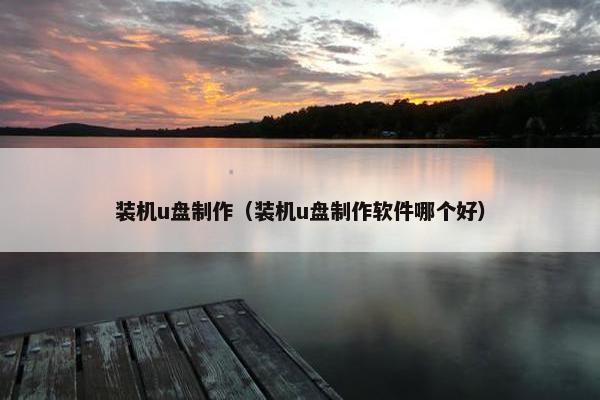 装机u盘制作（装机u盘制作软件哪个好）