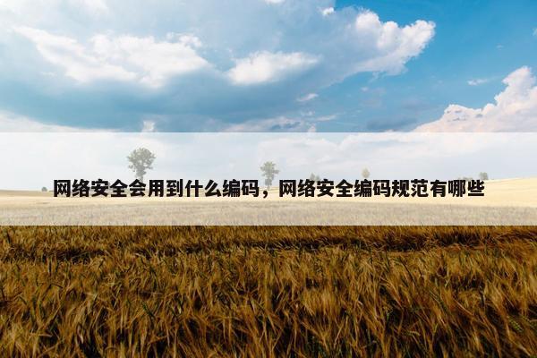 网络安全会用到什么编码，网络安全编码规范有哪些