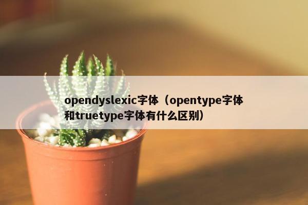 opendyslexic字体（opentype字体和truetype字体有什么区别）