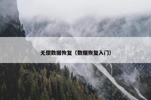 无偿数据恢复（数据恢复入门）