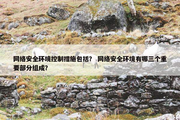网络安全环境控制措施包括？ 网络安全环境有哪三个重要部分组成？