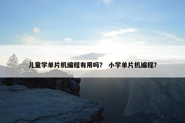 儿童学单片机编程有用吗？ 小学单片机编程？