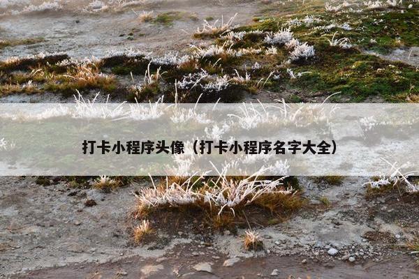 打卡小程序头像（打卡小程序名字大全）
