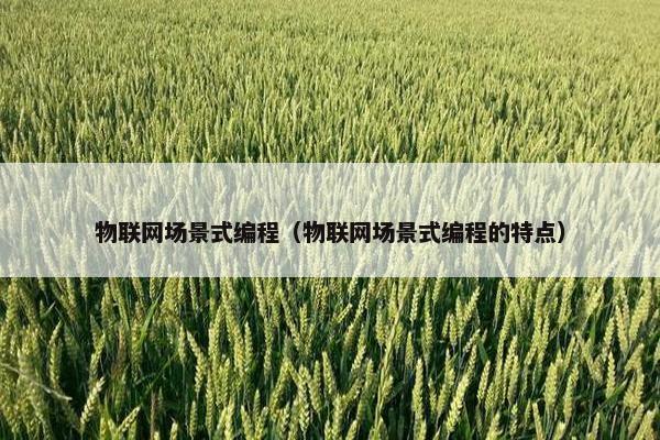 物联网场景式编程（物联网场景式编程的特点）