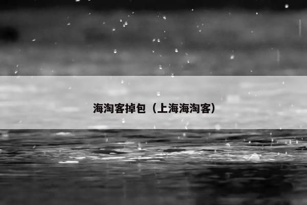 海淘客掉包（上海海淘客）
