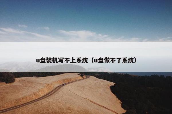 u盘装机写不上系统（u盘做不了系统）