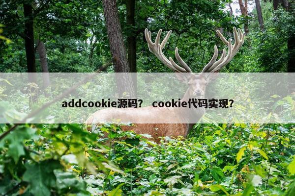 addcookie源码？ cookie代码实现？